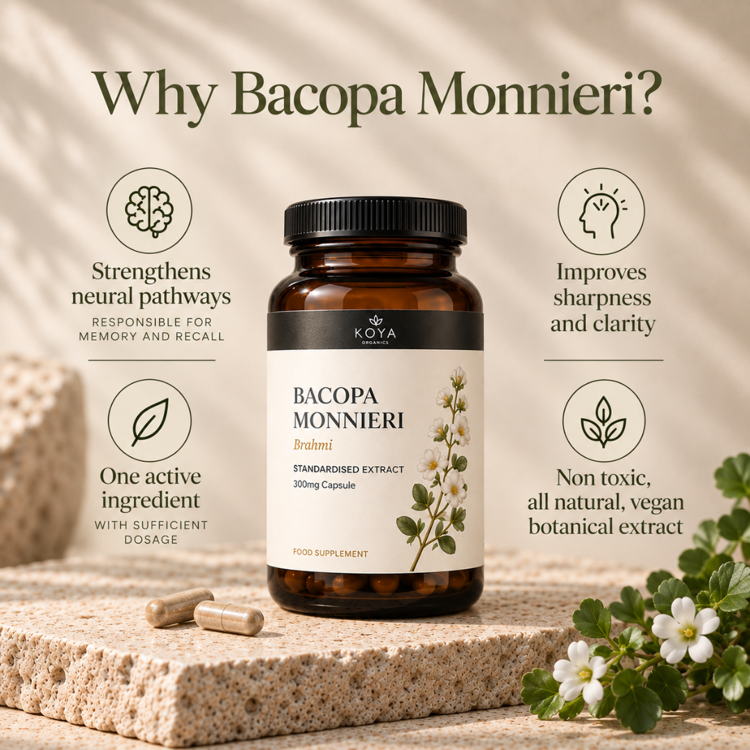 A bottle of Koya Bacopa Monnieri supplement centered on a stone surface with surrounding text callouts about its benefits, plus a few capsules and small white flowers.