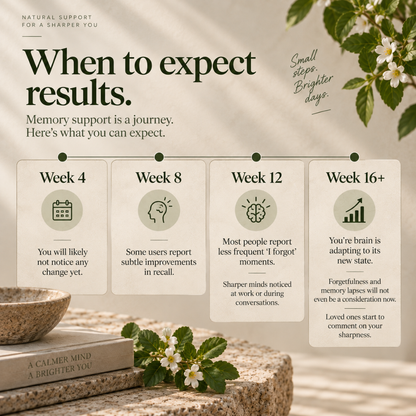 An informational graphic with the heading 'When to expect results.' and four panels labeled Week 4, Week 8, Week 12, and Week 16+, explaining memory support progress over time.
