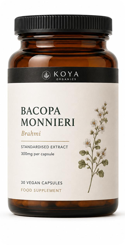 What did the Bacopa meta-analysis find?
