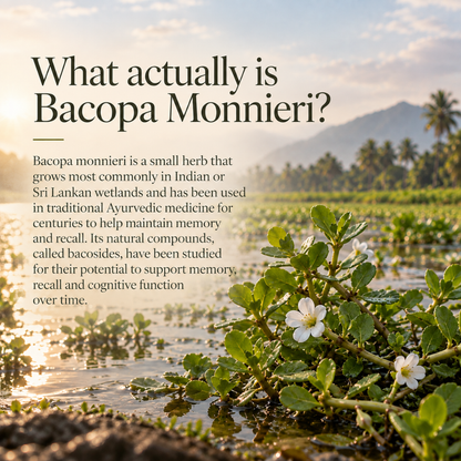 An informational graphic with the headline 'What actually is Bacopa Monnieri?' over a scenic outdoor photo of Bacopa plants with small white flowers in water, with mountains and sky in the background.
