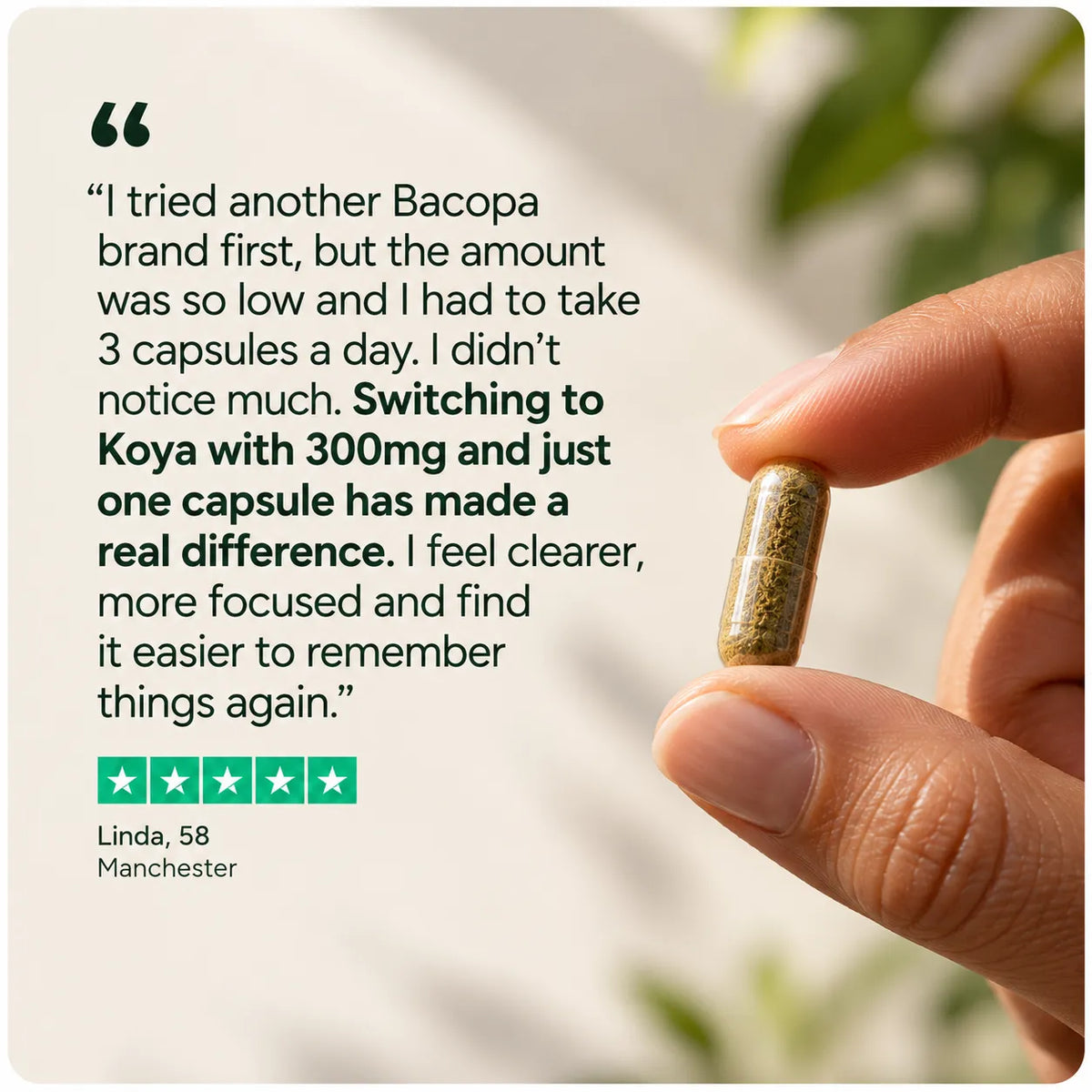 Bacopa Monnieri (Brahmi) - Daily Memory Support
