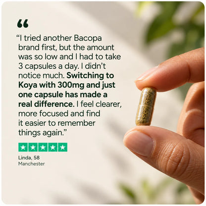 Bacopa Monnieri (Brahmi) - Daily Memory Support