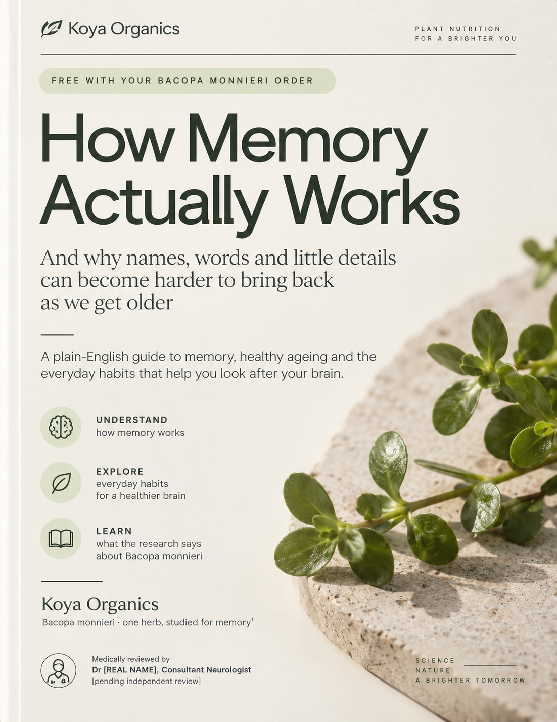 How Memory Actually Works - Digital E-book