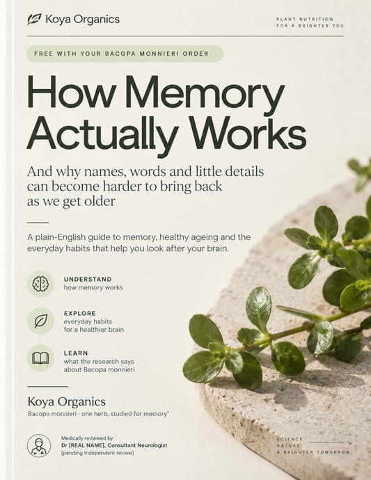 How Memory Actually Works - Digital E-book